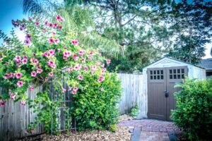 Maintaining Your Shed